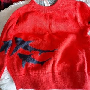EUC gap shark sweater